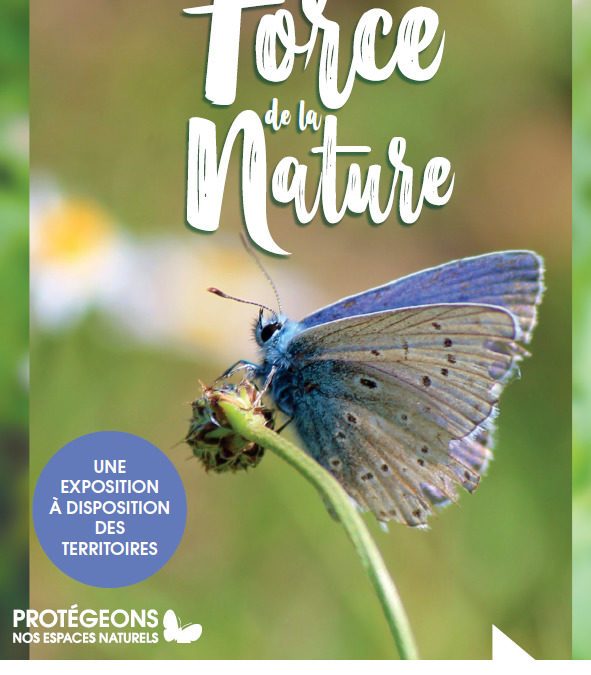 Exposition « Force de la Nature »